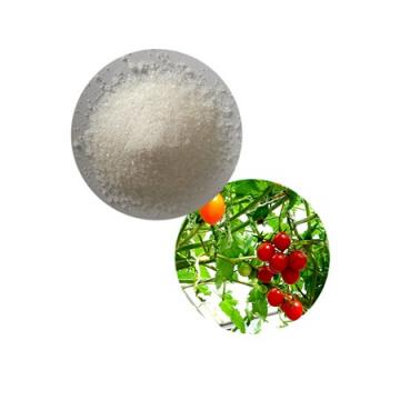 Ammonium Sulphate Nitrate Fertilizer Made for Oversea